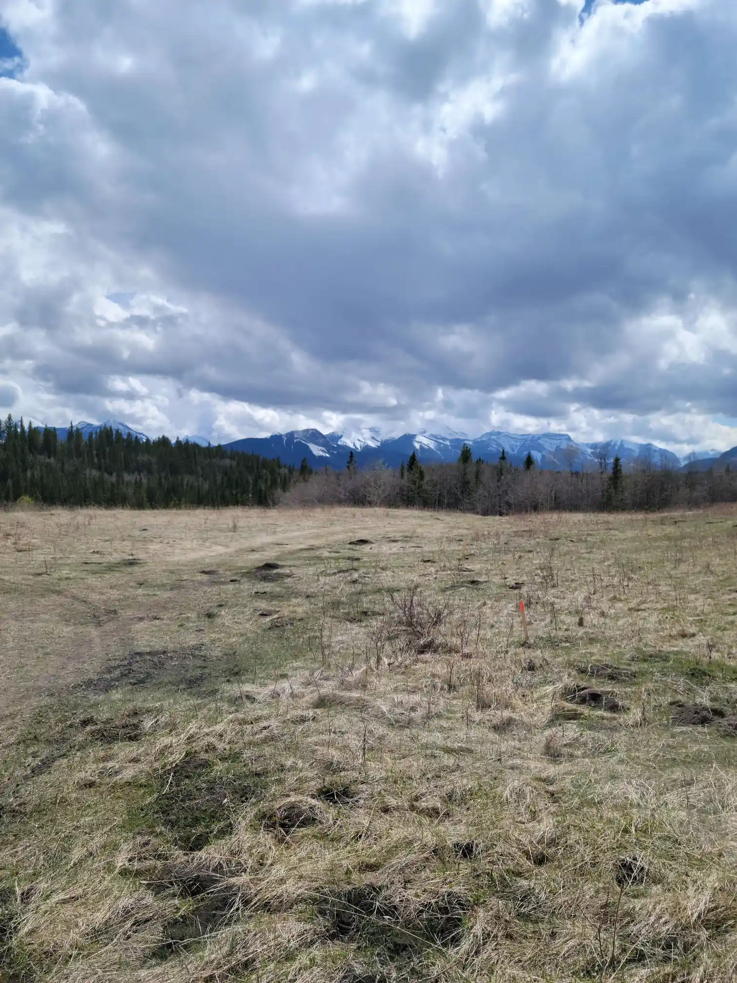 Photo of campsite B1 - B13