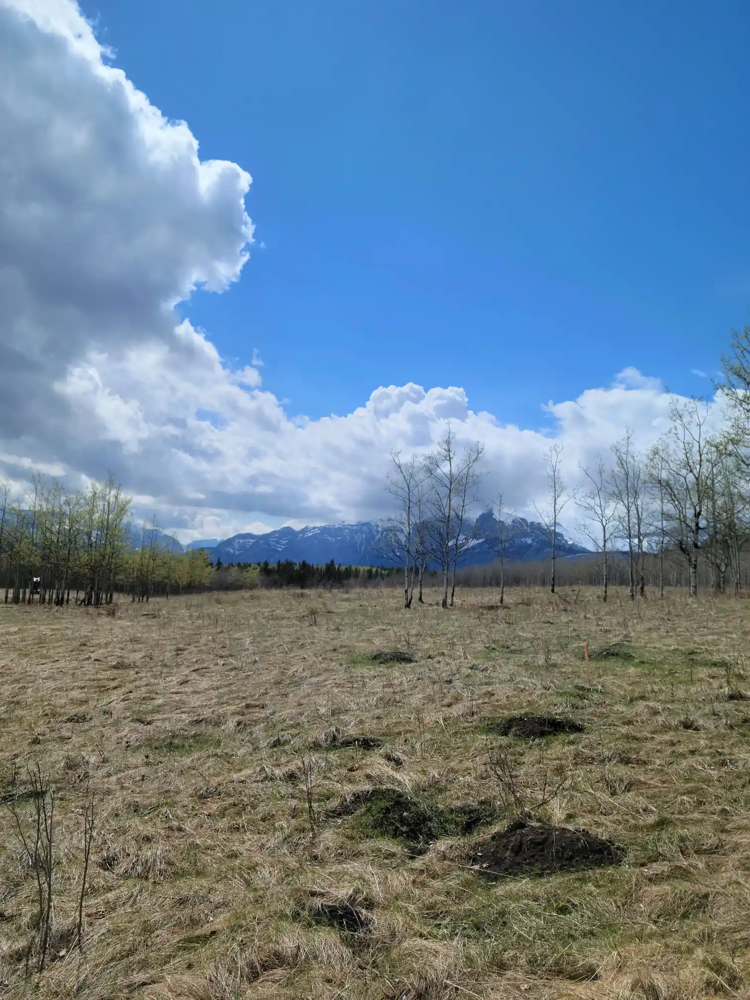 Photo of campsite B17 - B23