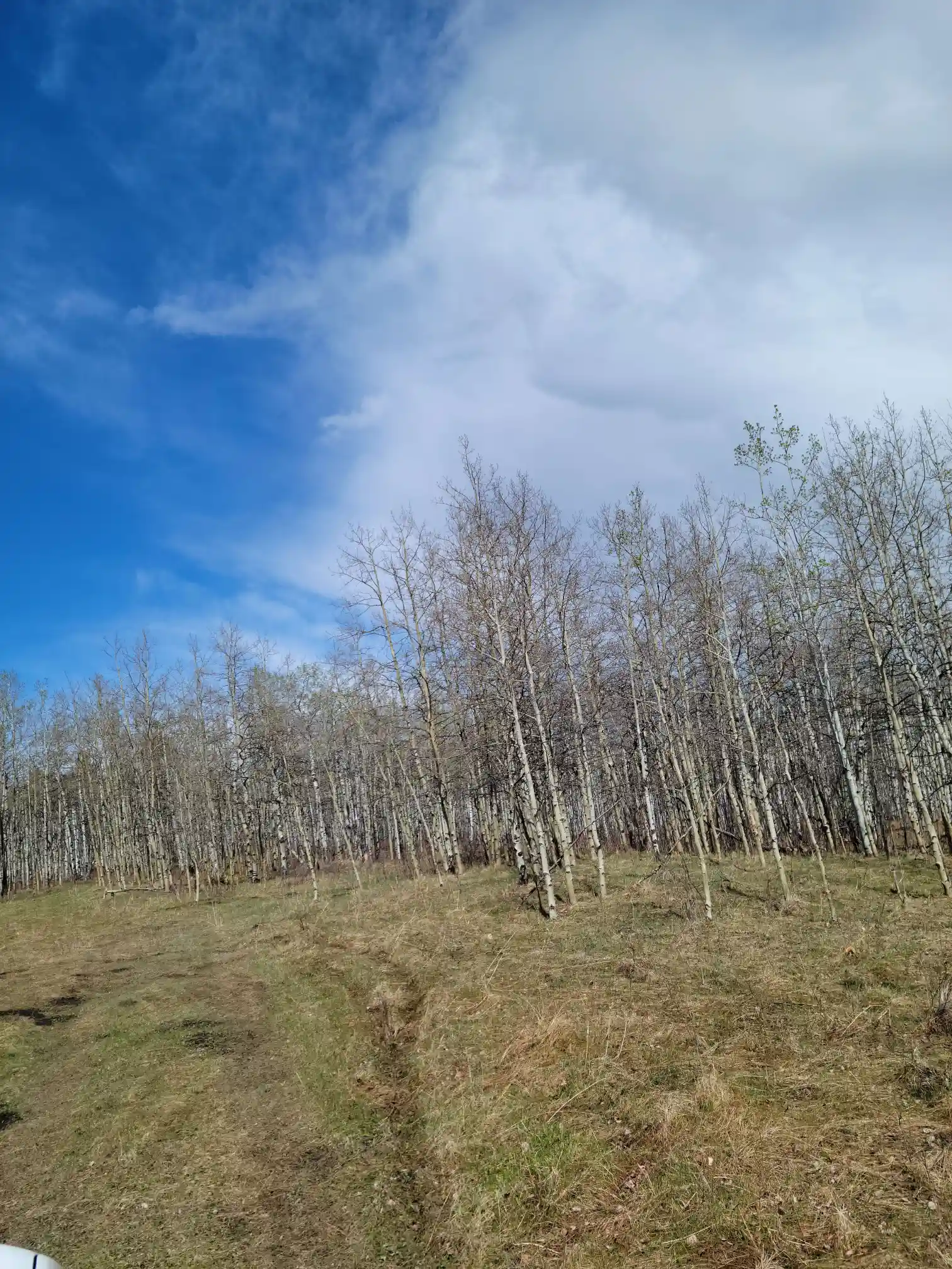 Photo of campsite B26 - B27