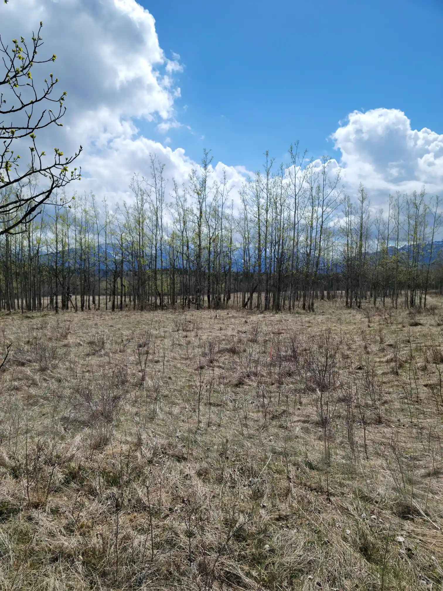 Photo of campsite B30 - B31