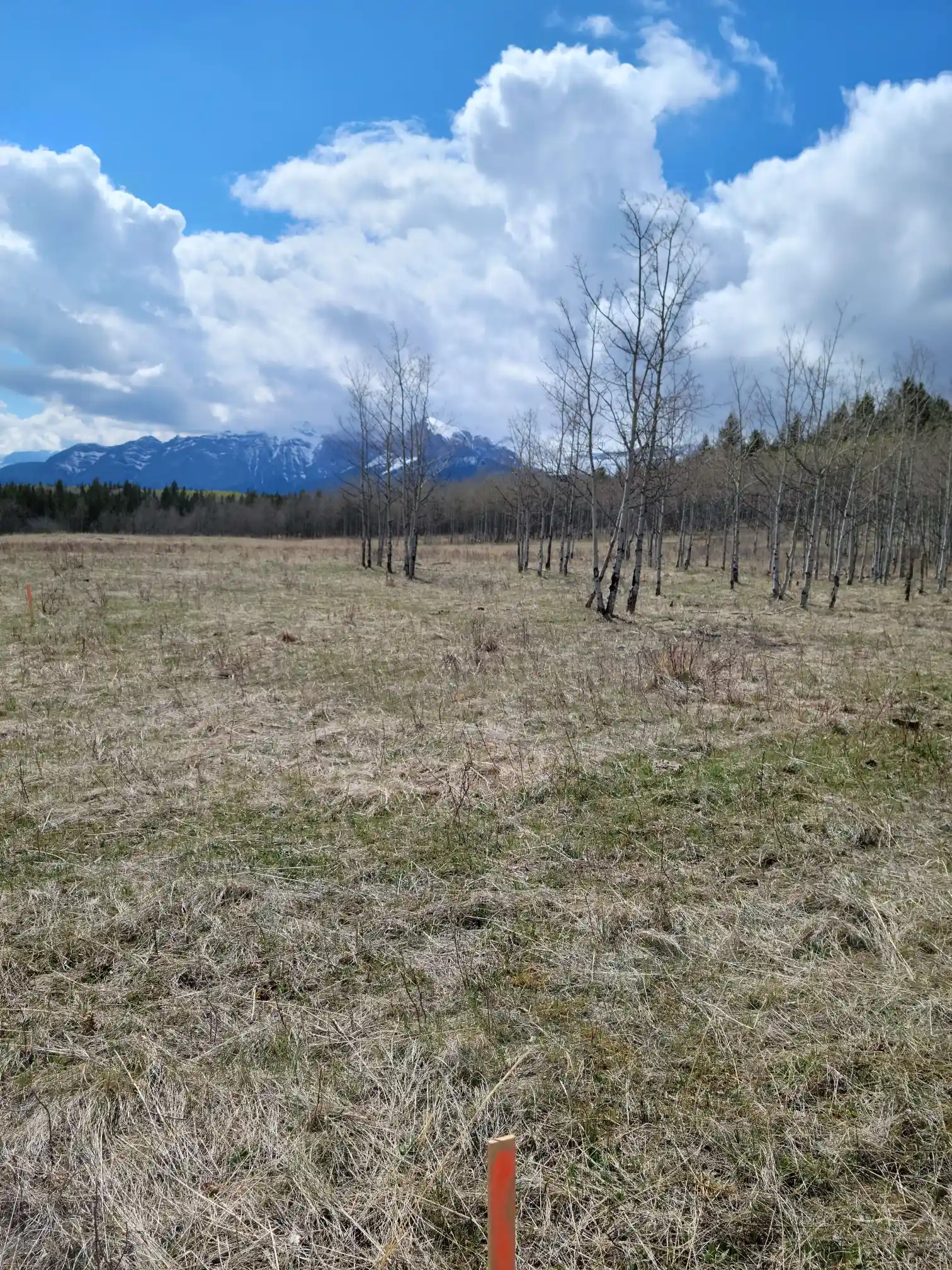 Photo of campsite B33 - B37