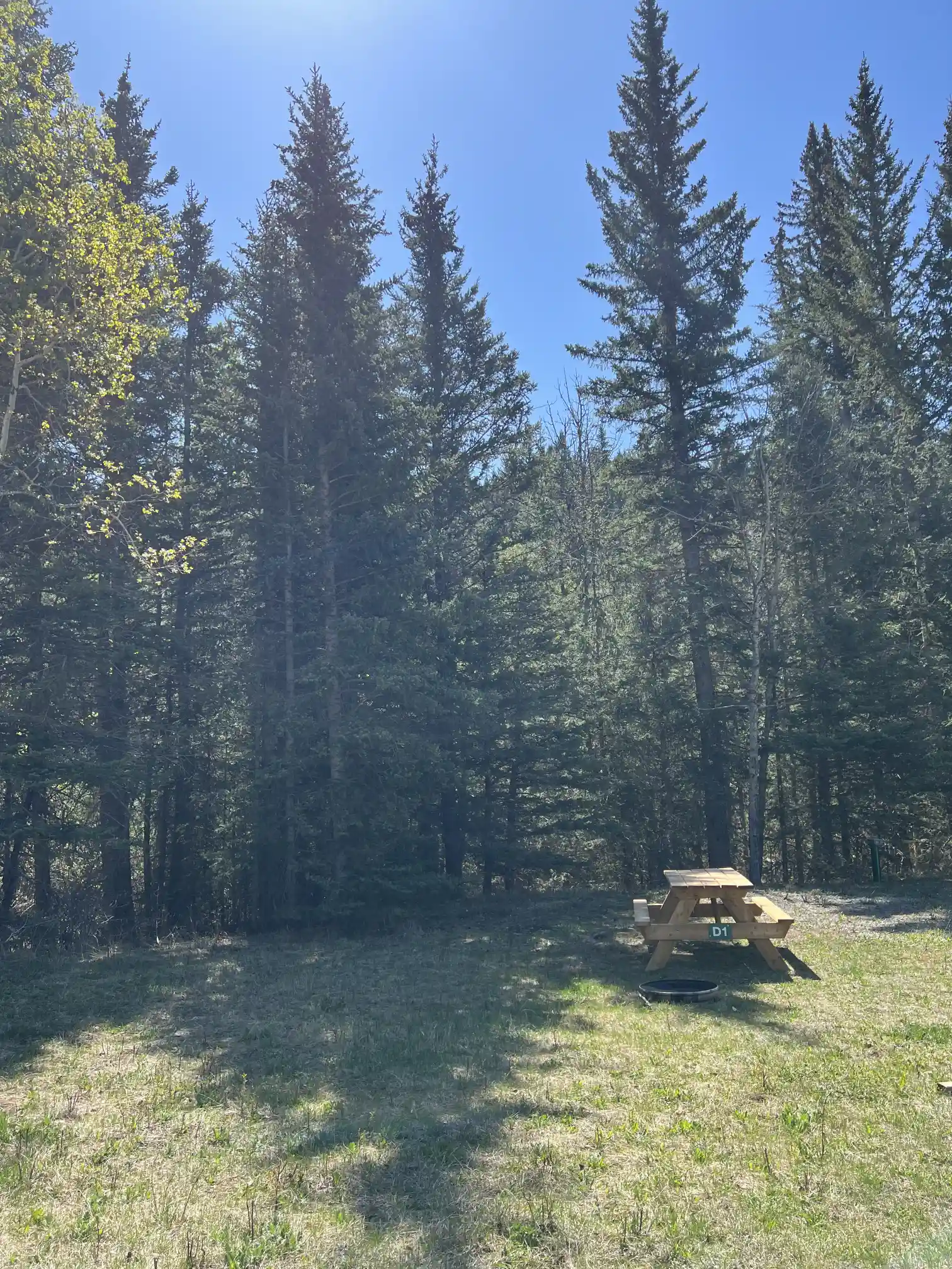 Photo of campsite D1