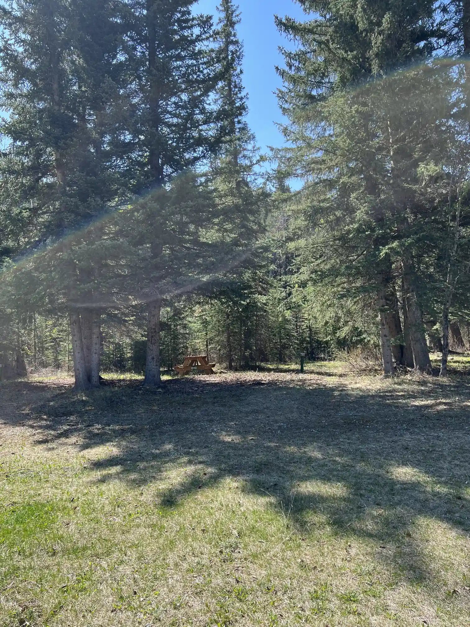 Photo of campsite D10