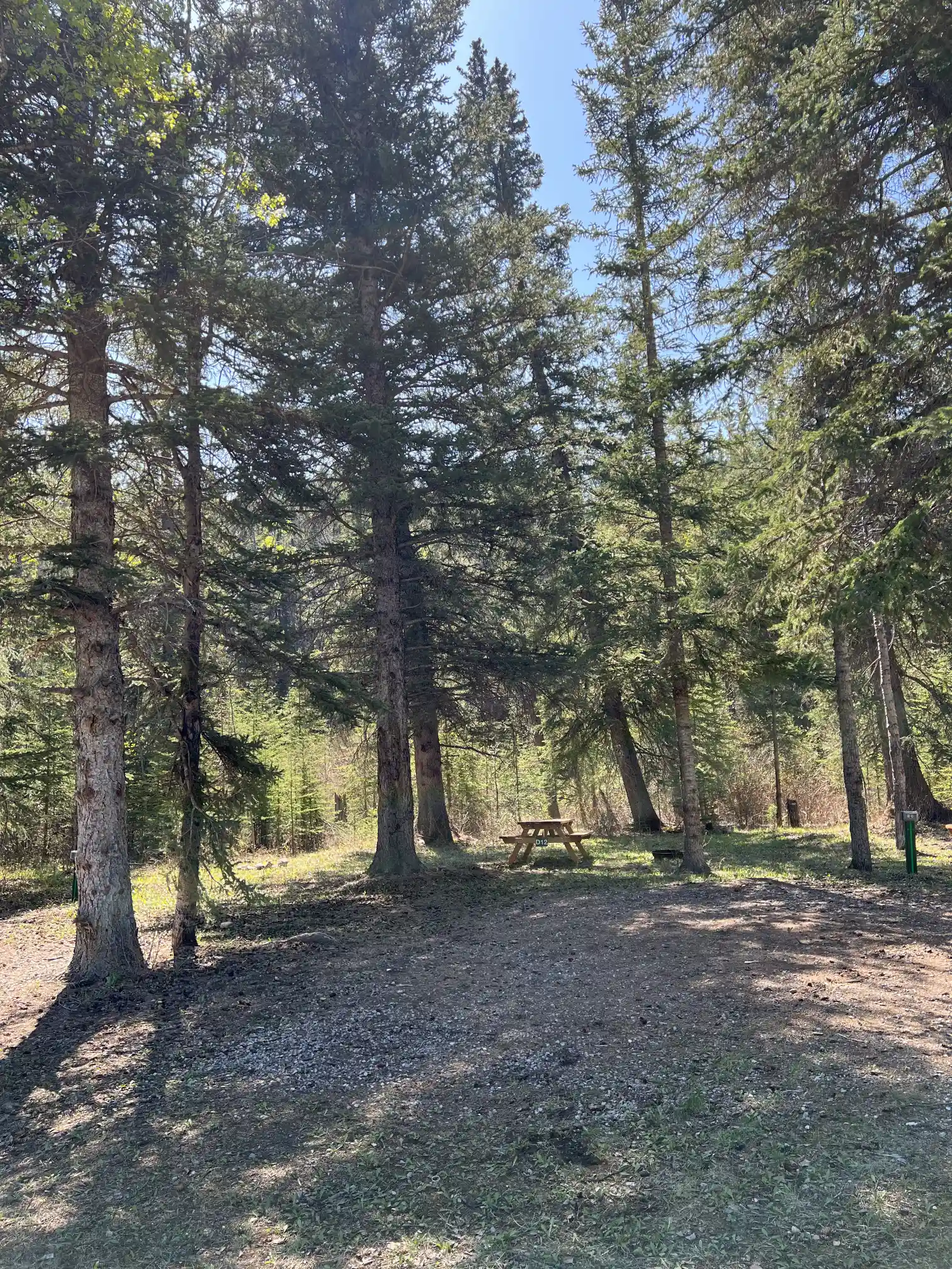 Photo of campsite D12