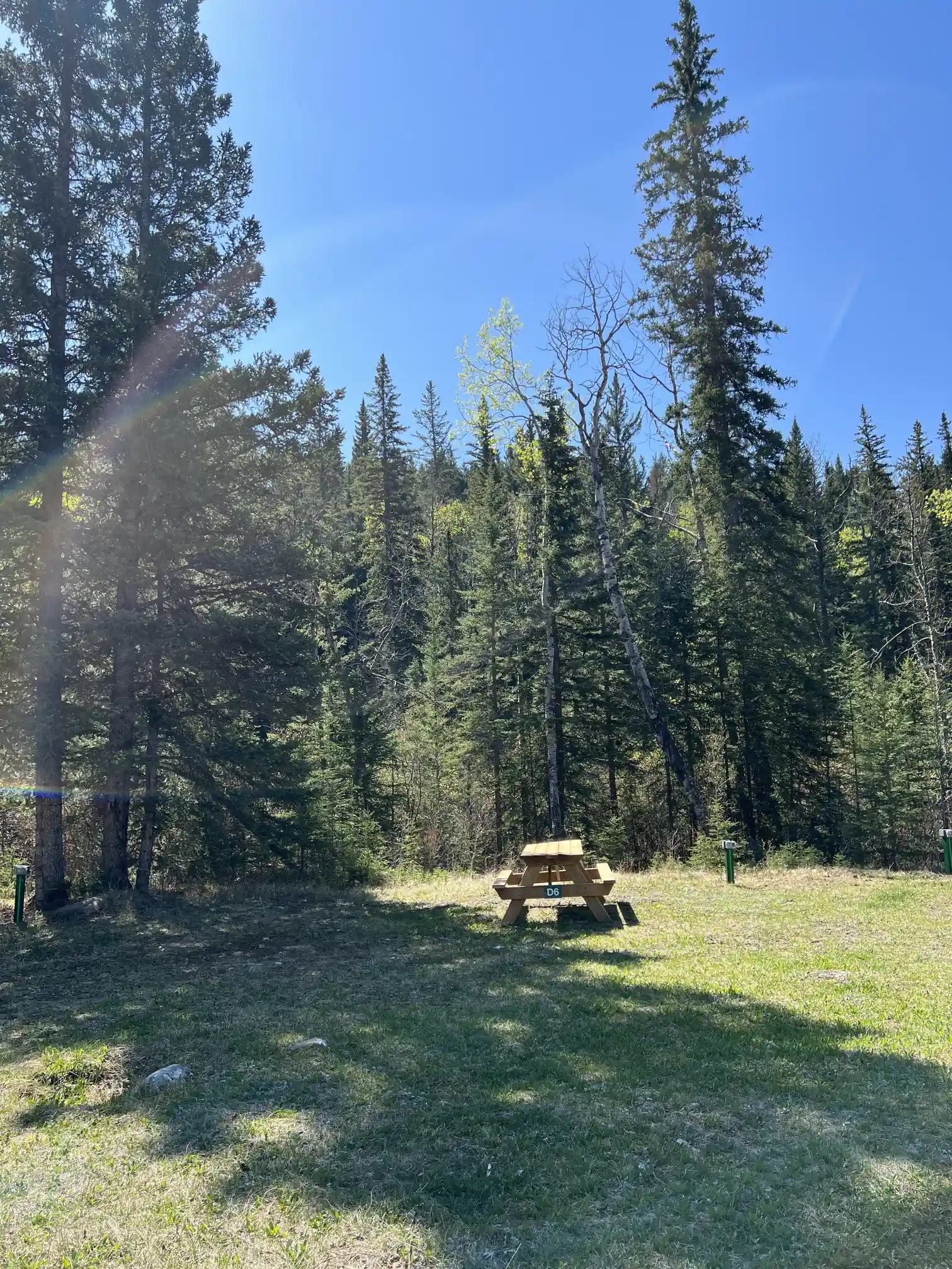 Photo of campsite D6