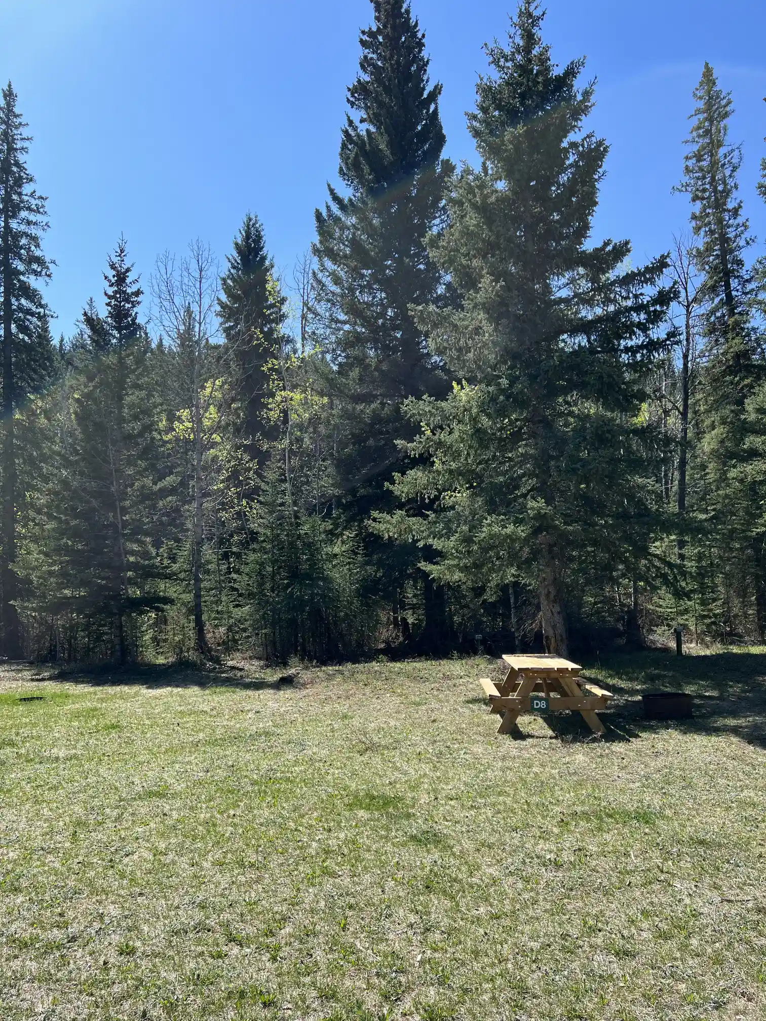 Photo of campsite D8