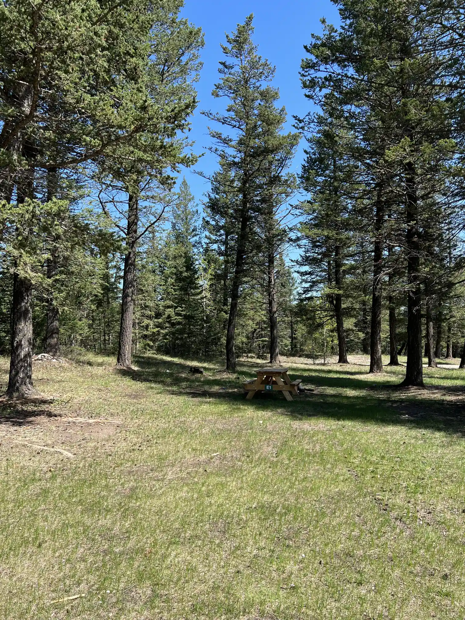 Photo of campsite E1