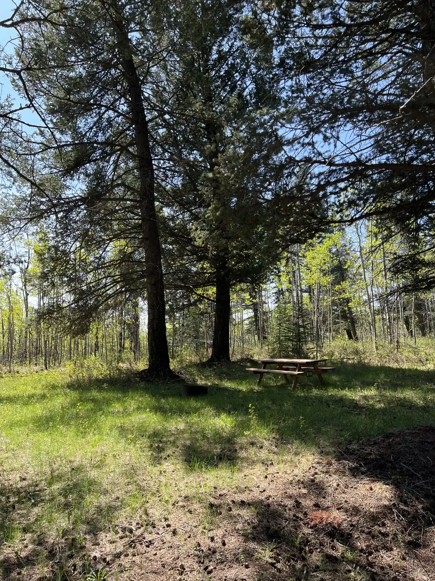 Photo of campsite E10