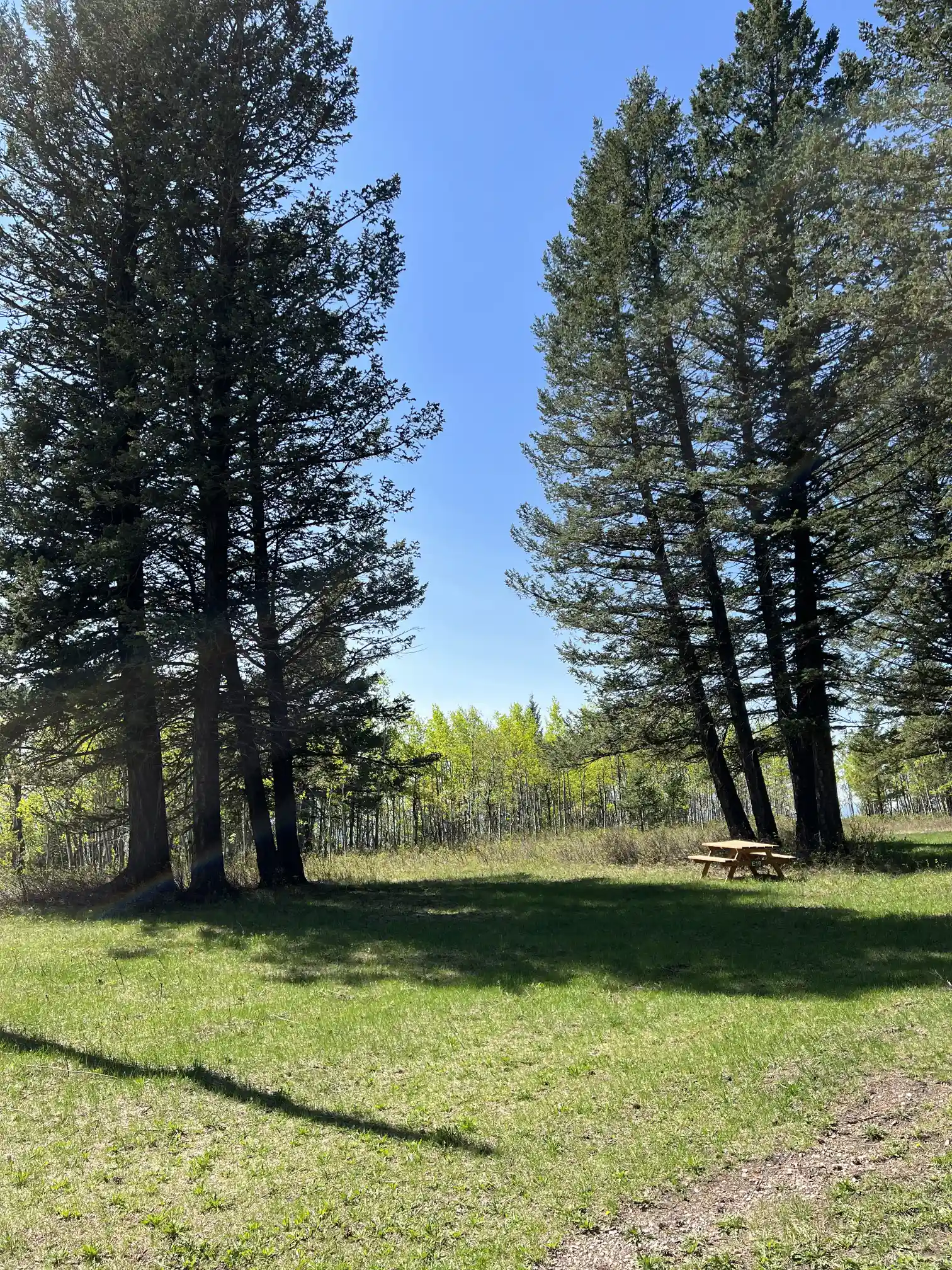 Photo of campsite E16