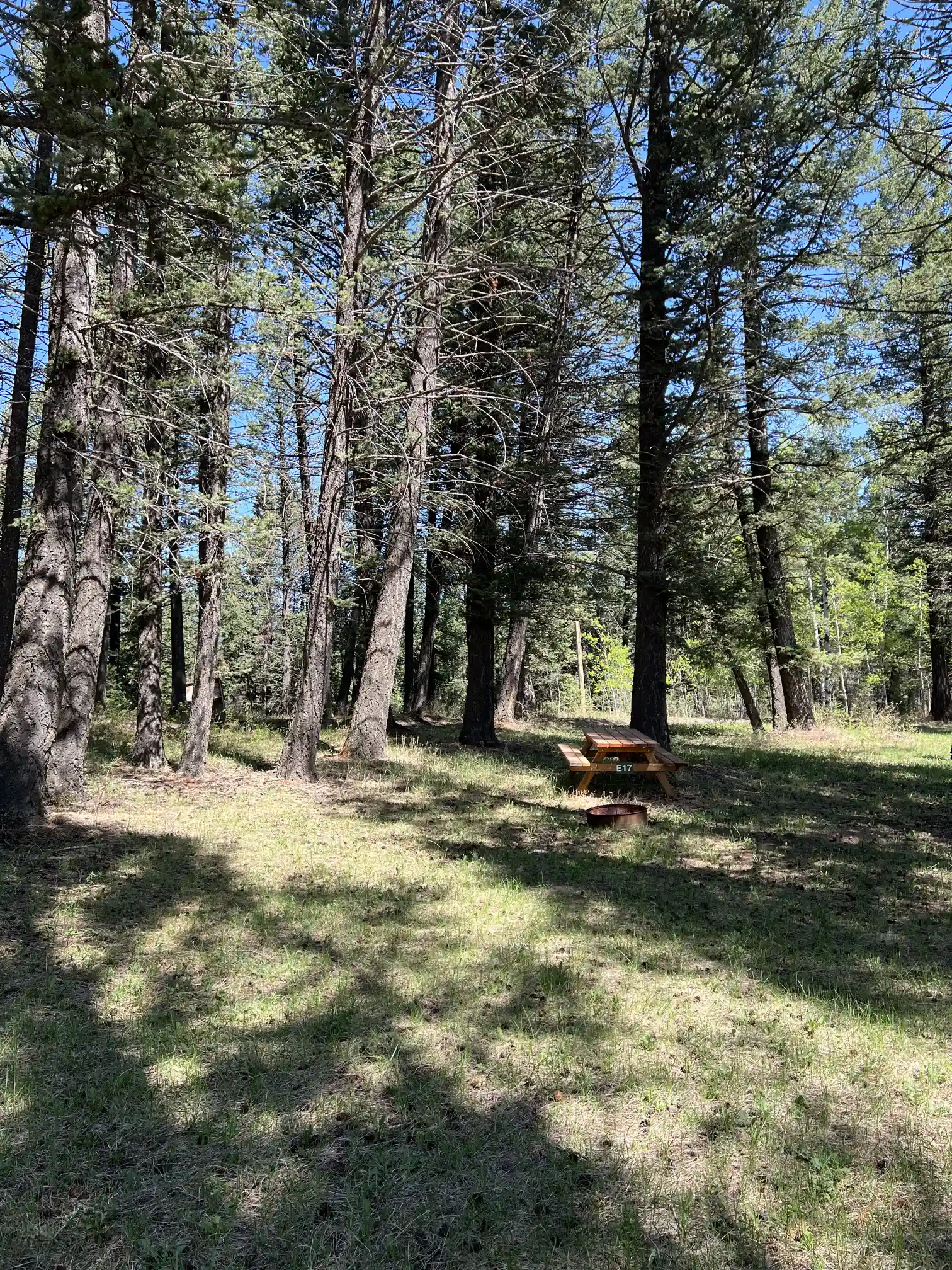 Photo of campsite E17