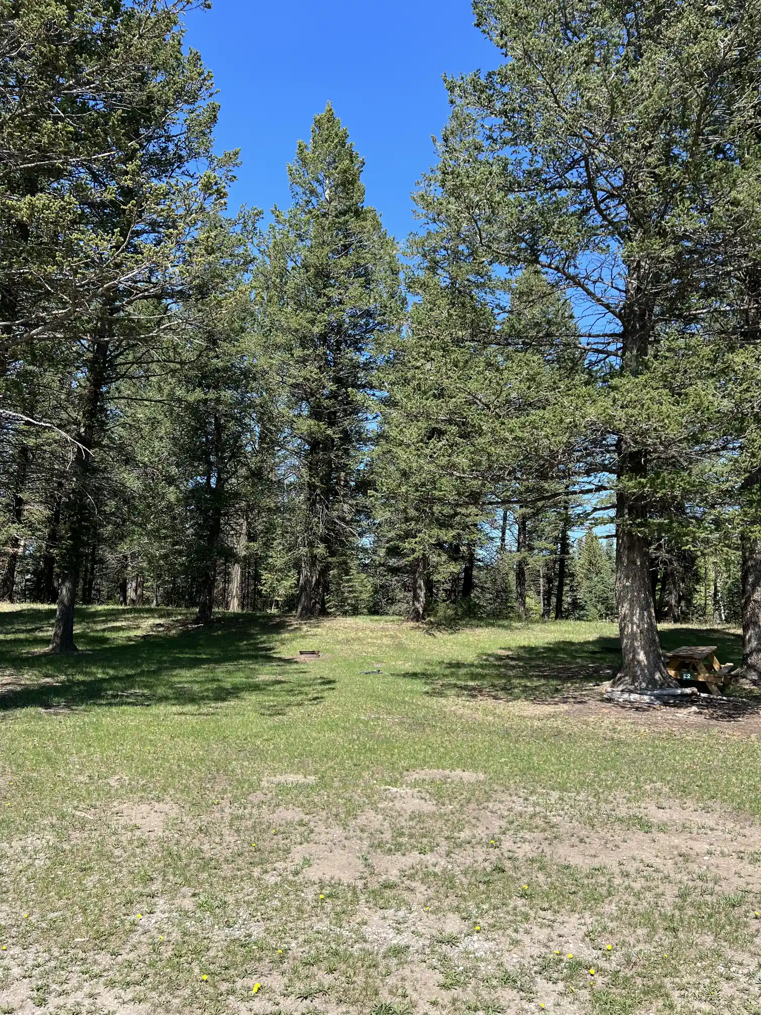 Photo of campsite E2