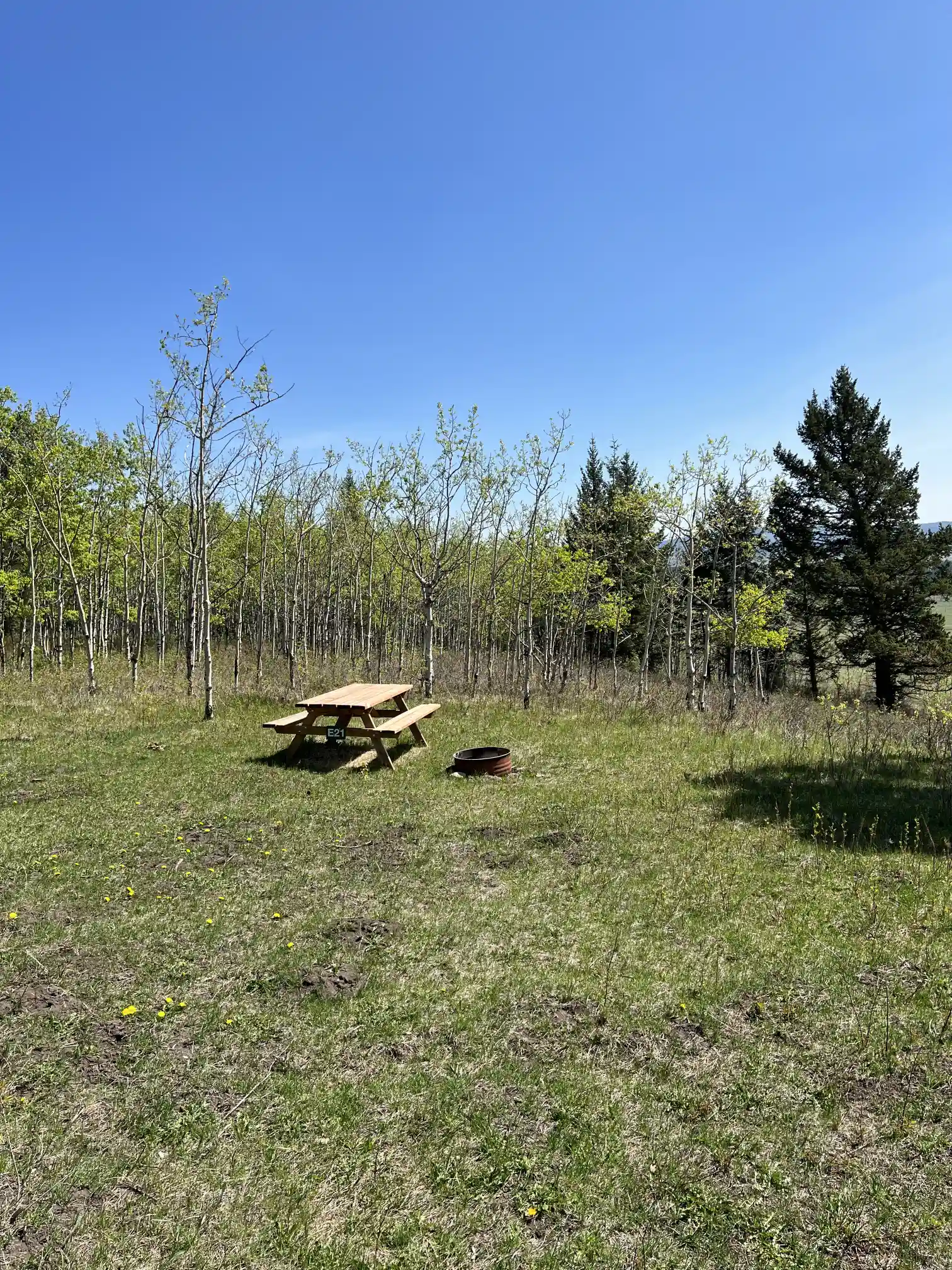 Photo of campsite E21