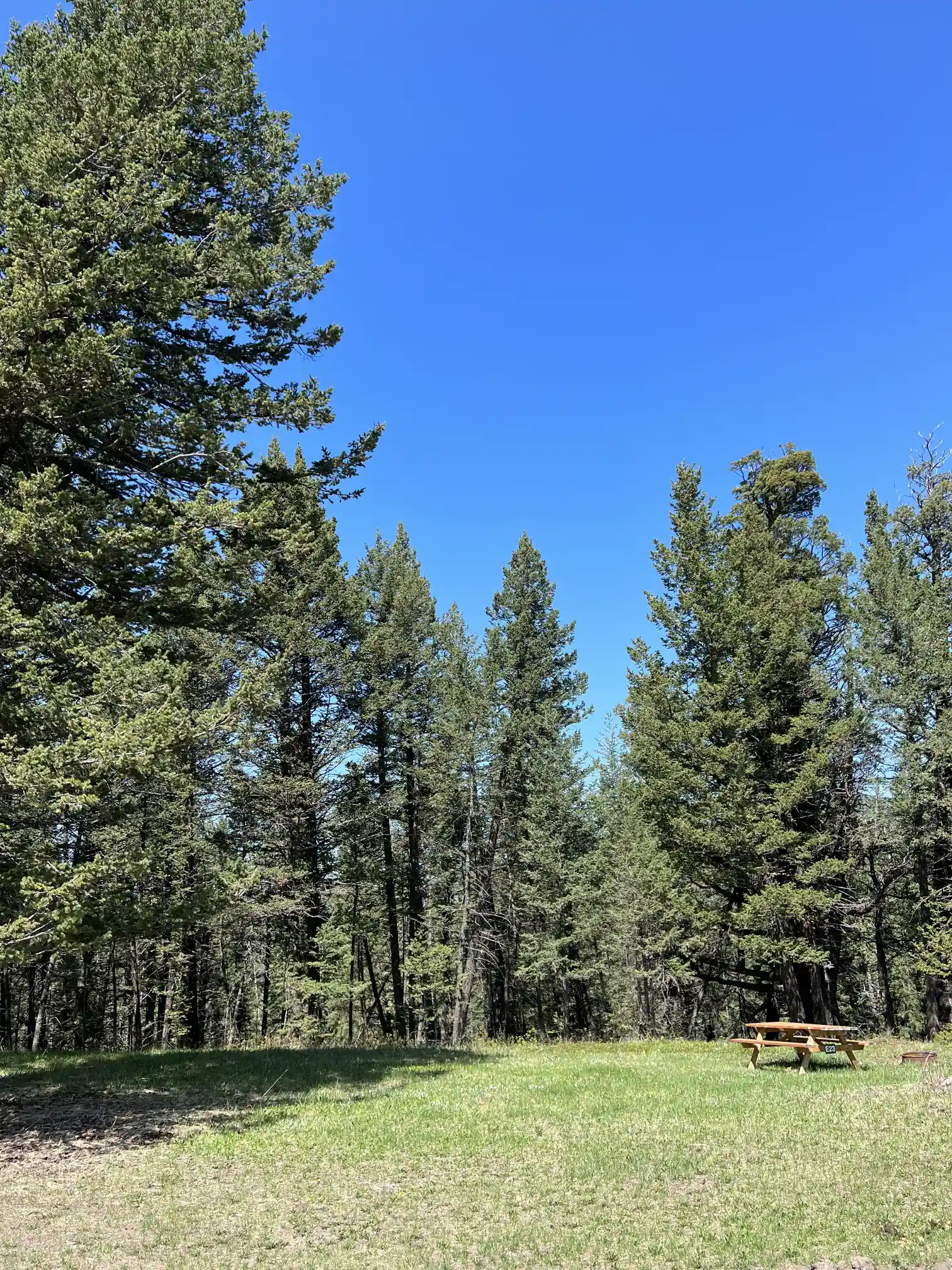 Photo of campsite E23