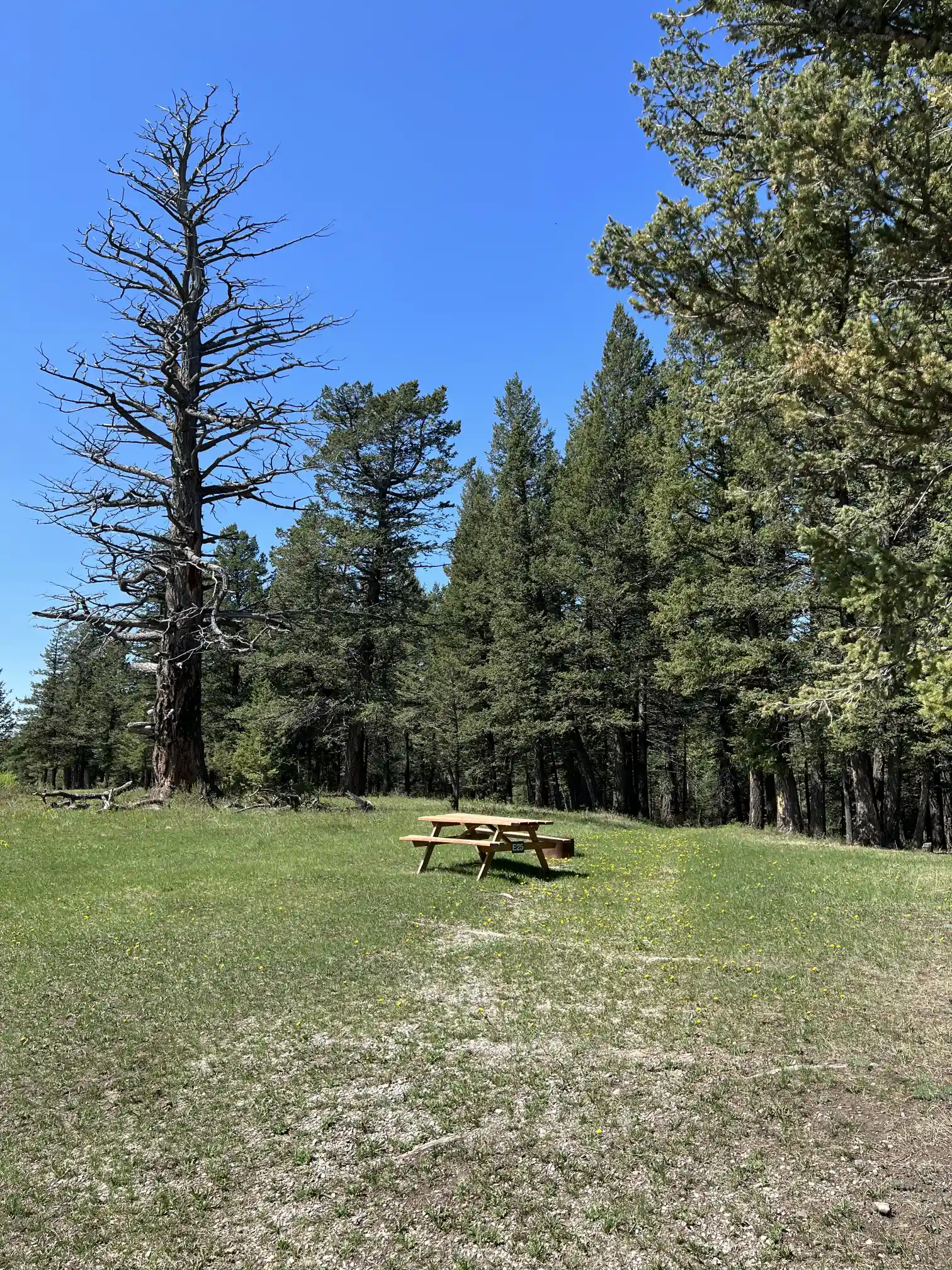 Photo of campsite E25