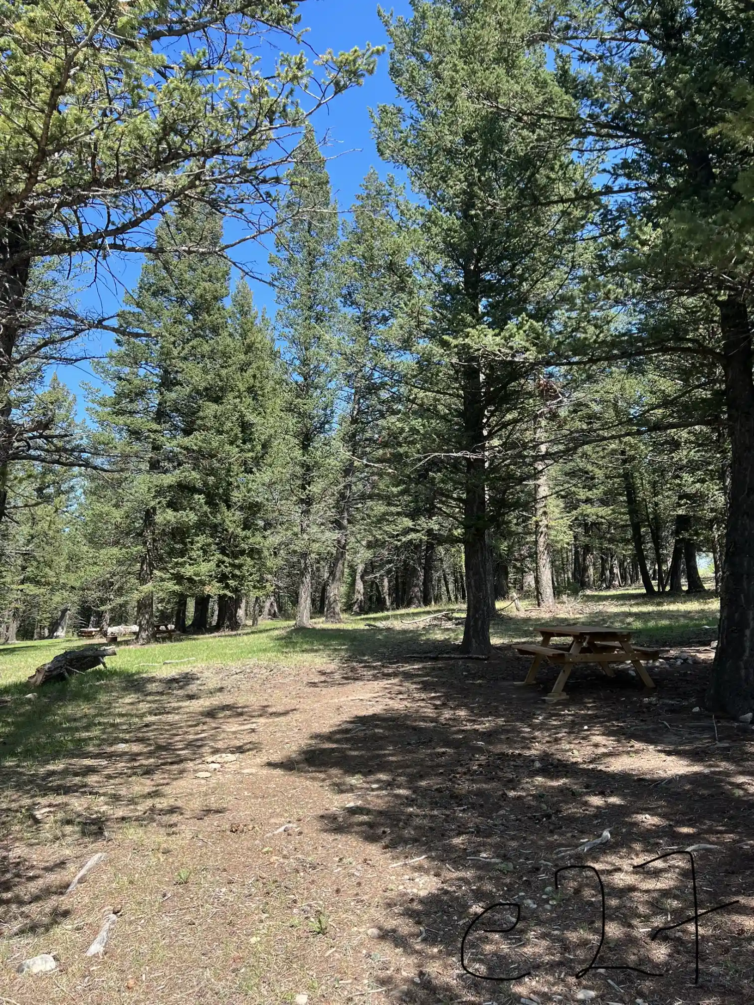 Photo of campsite E27