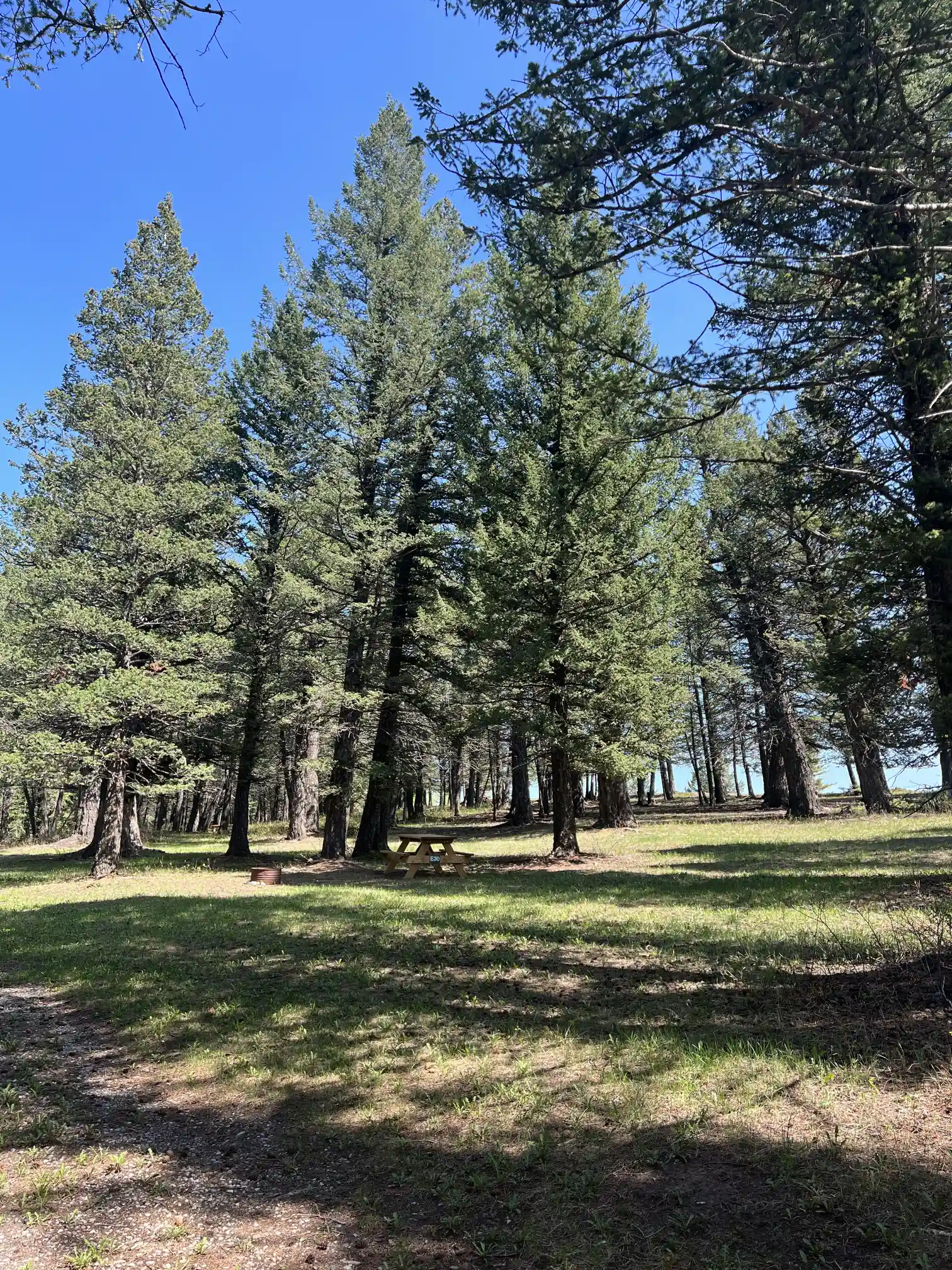 Photo of campsite E30