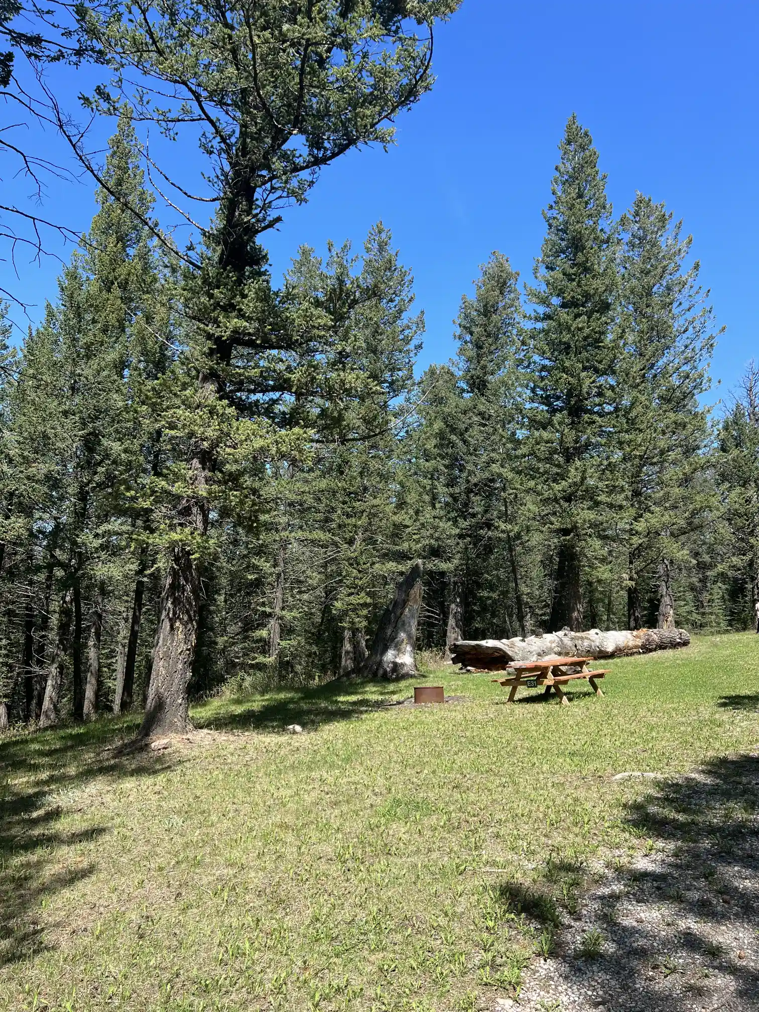 Photo of campsite E31
