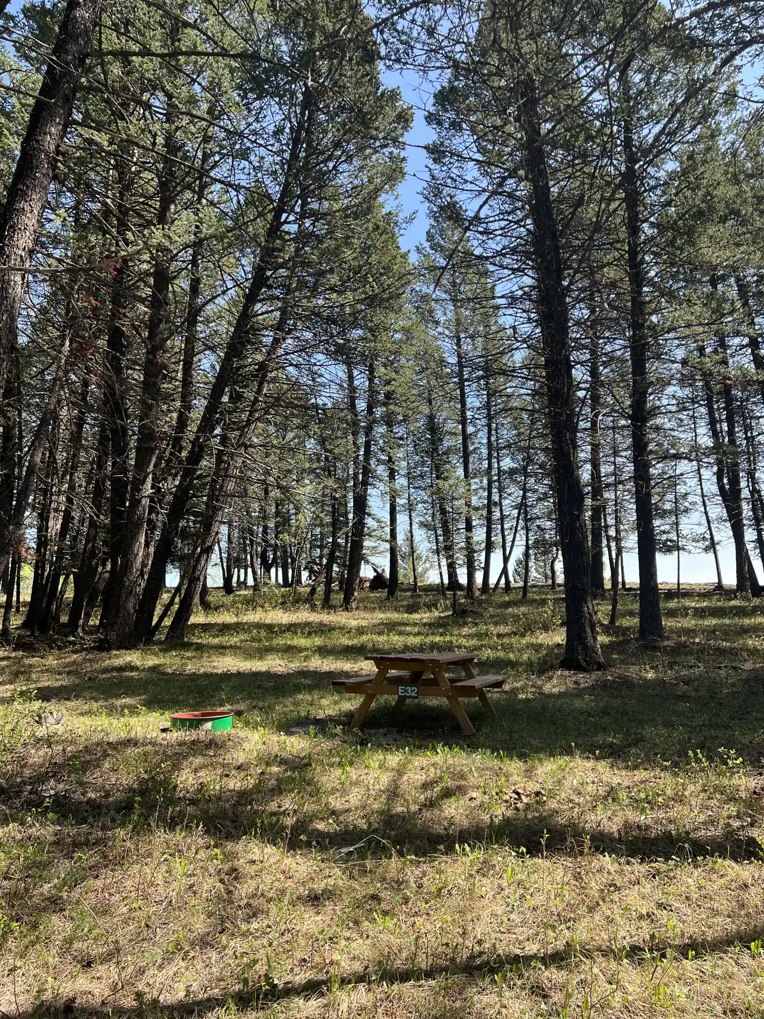 Photo of campsite E32