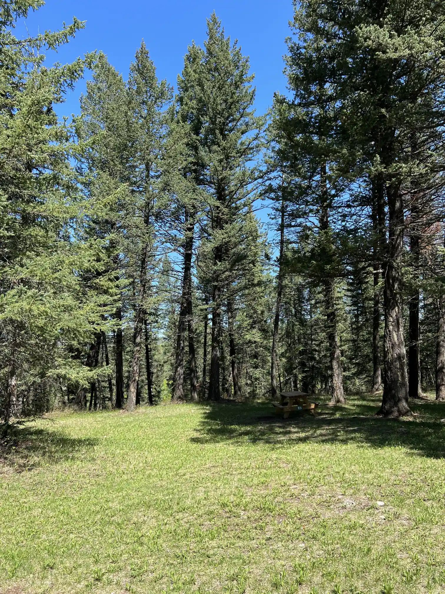 Photo of campsite E5