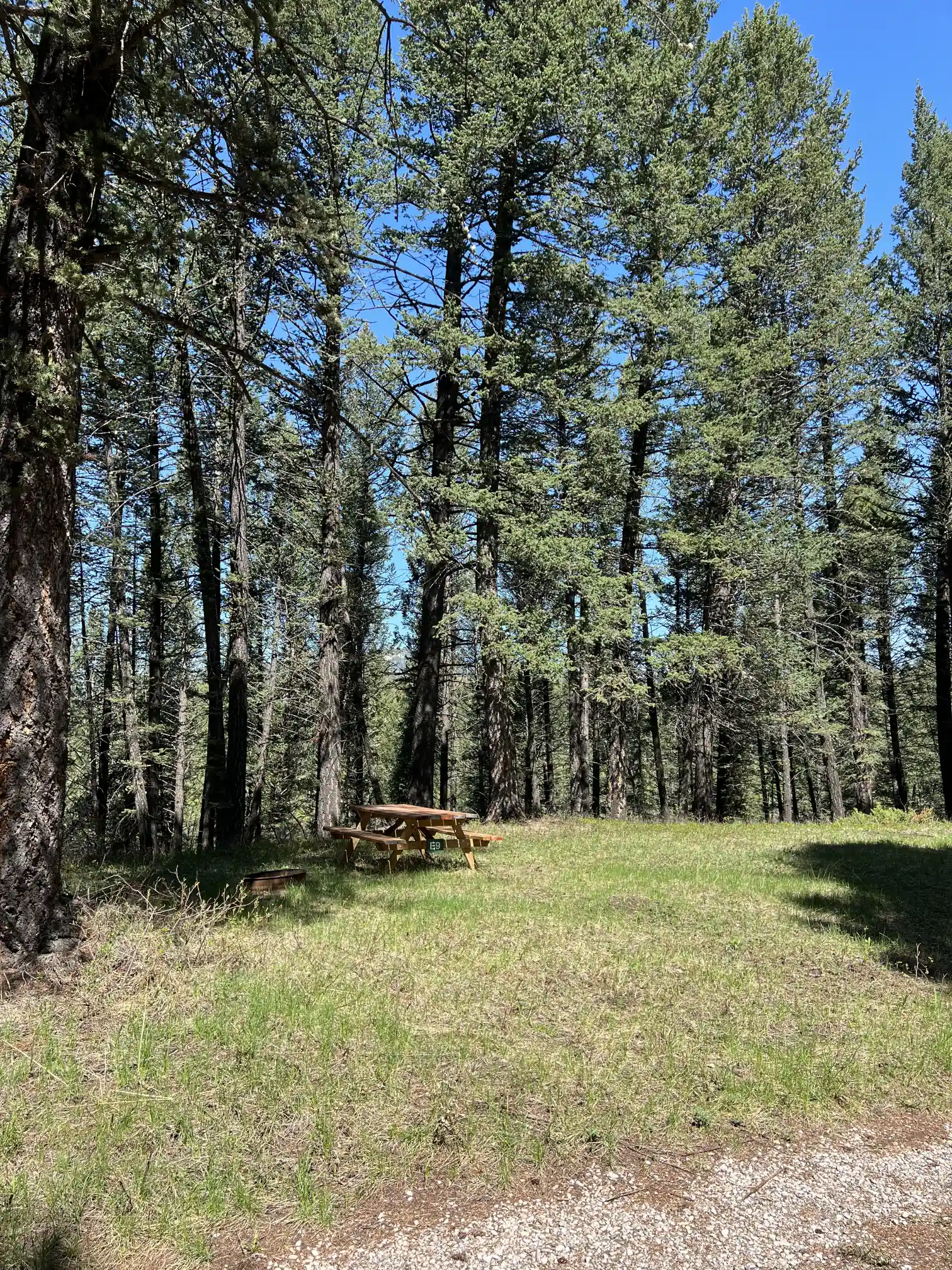 Photo of campsite E9